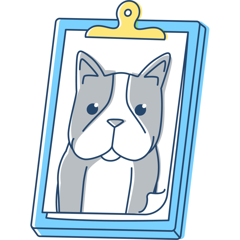 pet-trainer-illustration-01b@2x
