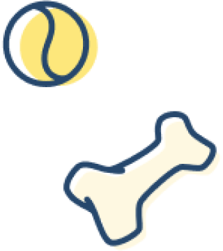 pet-trainer-illustration-14@2x